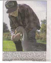 http://www.acornhollowbantams.com/images/articles/36%20Year%20old%20goose.jpg