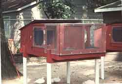 Horton Raised Cage Horton Raised Cage
