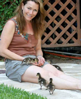 Hand fed ducklings